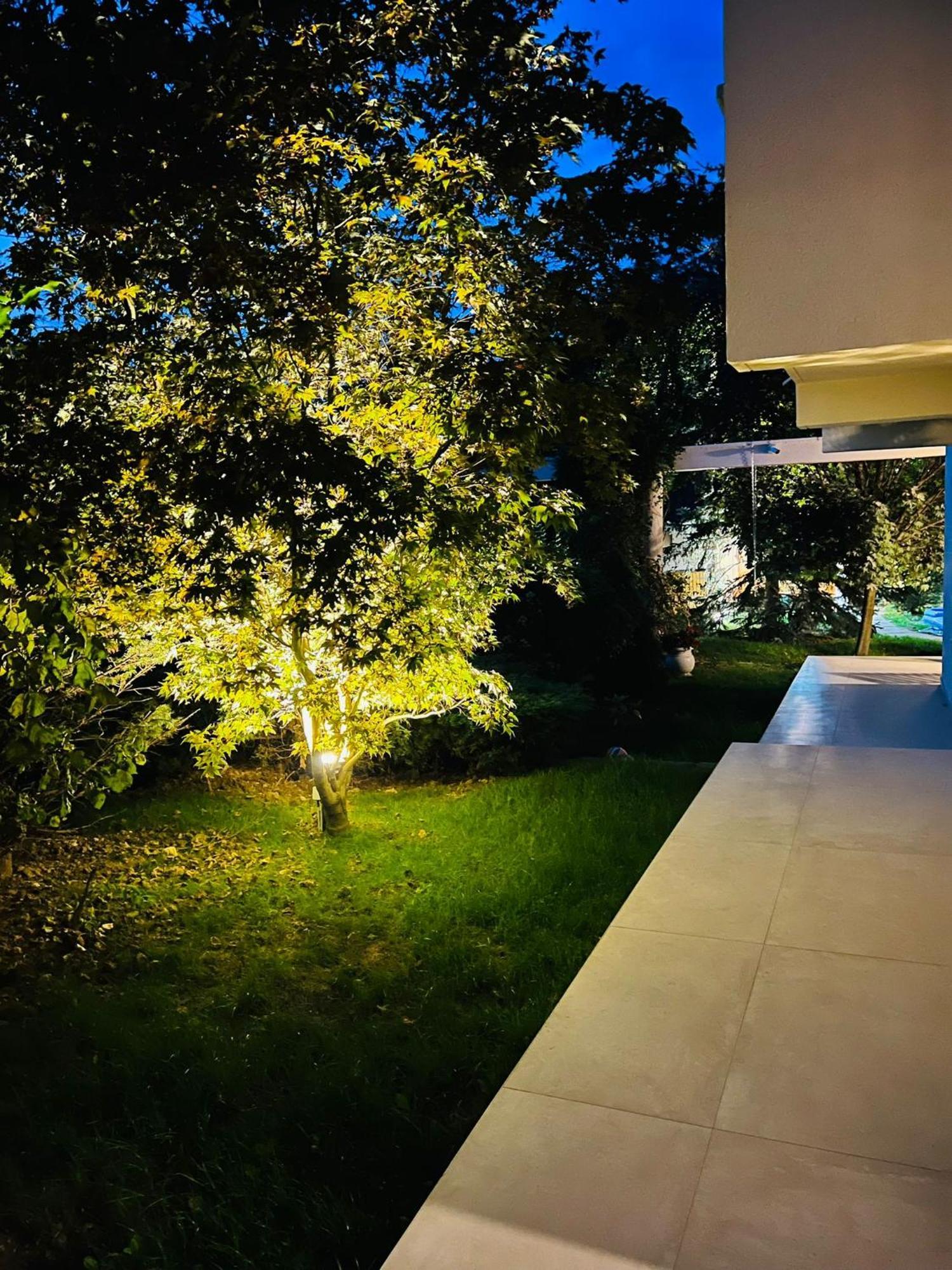 Evie'S Tree House Villa Dragomirna Exterior photo